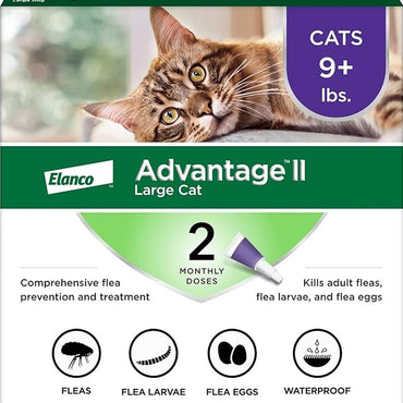 Advantage II Large Cat Vet-Recommended Flea Treatment & Prevention | Cats Over 9 lbs. | 2-Month Supply