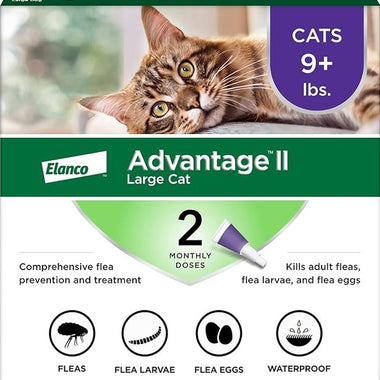 Advantage II Large Cat Vet-Recommended Flea Treatment & Prevention | Cats Over 9 lbs. | 2-Month Supply